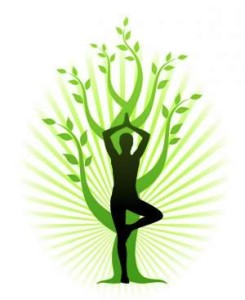 posizione dell'albero